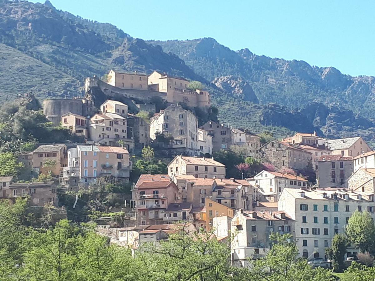 Charmant Studio Dans Residence Neuve Et Calme Corte  Buitenkant foto